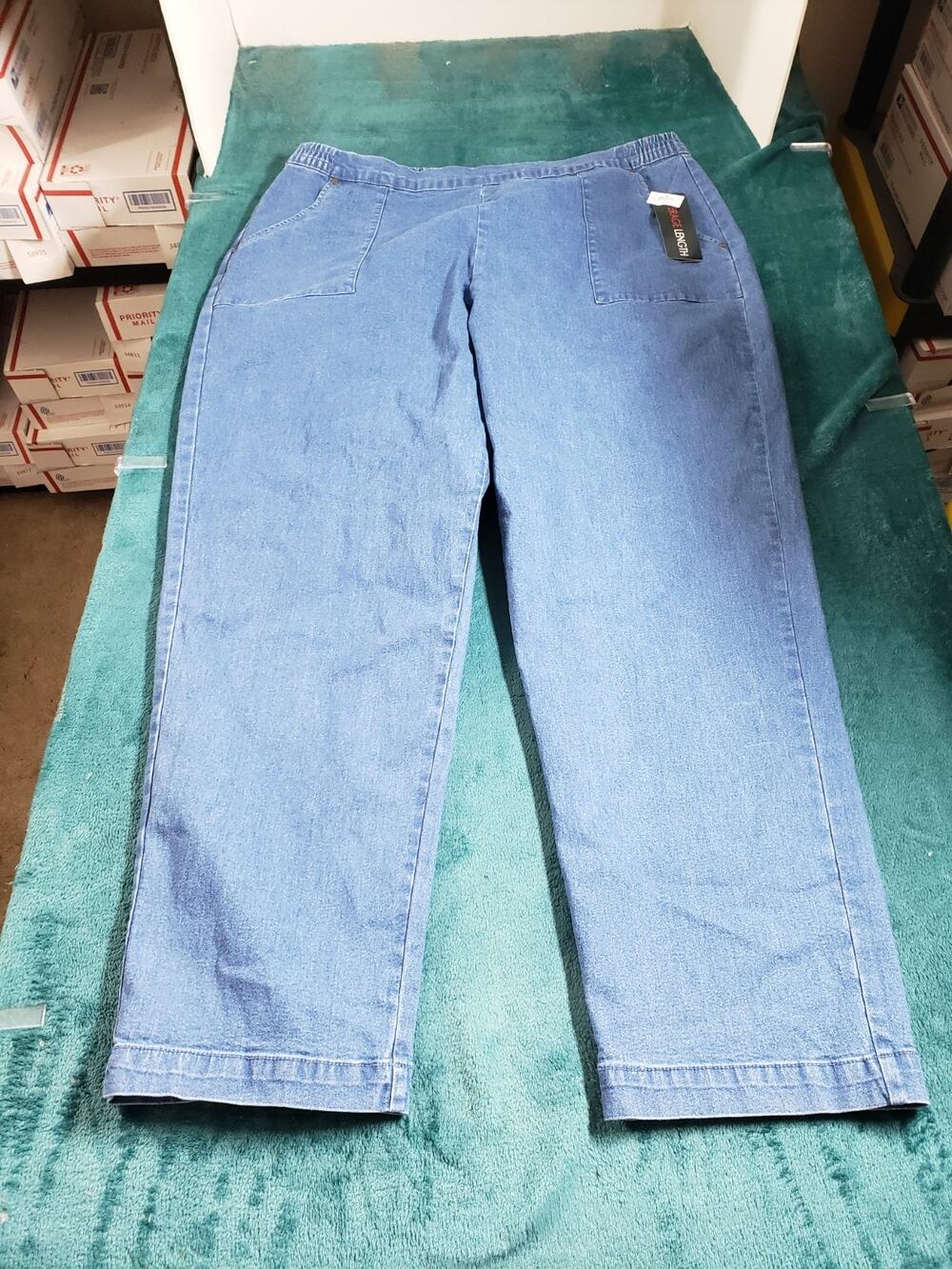 Hasting & Smith Jeans Size Extra Large Womens Blue Stretch Pull On Jegging NWT
